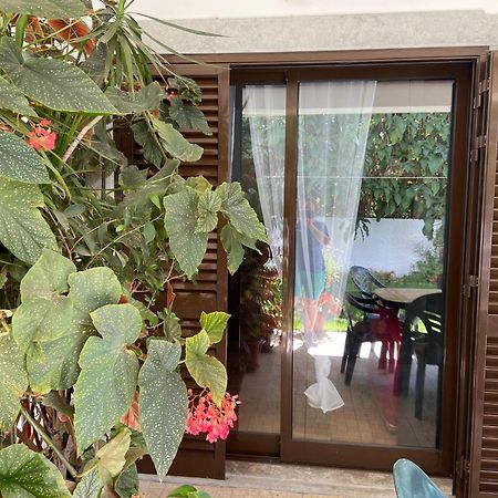 הוילה לוז דה טווירה A Casa Da Maria מראה חיצוני תמונה