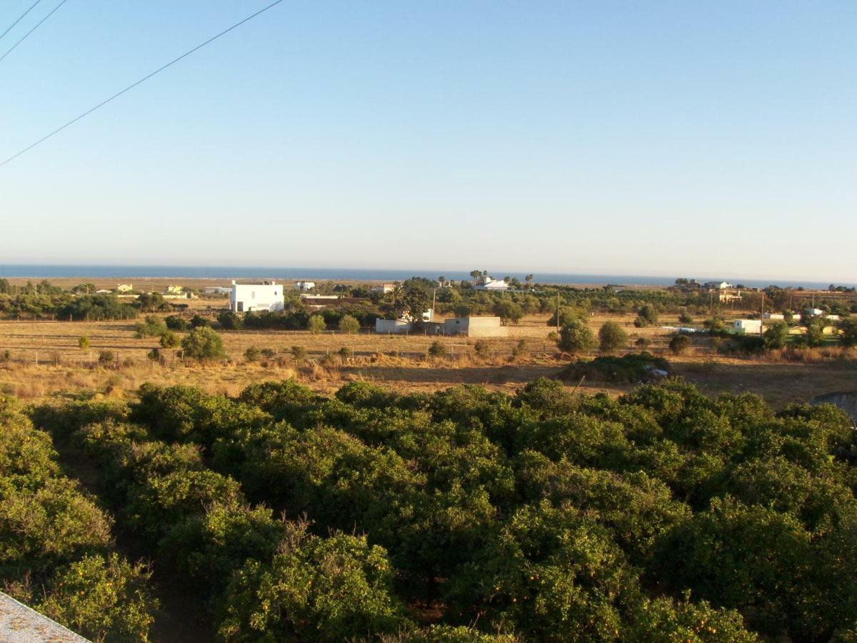 הוילה לוז דה טווירה A Casa Da Maria מראה חיצוני תמונה